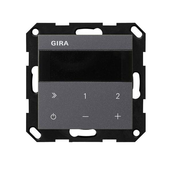 Gira UP-Radio IP 232028