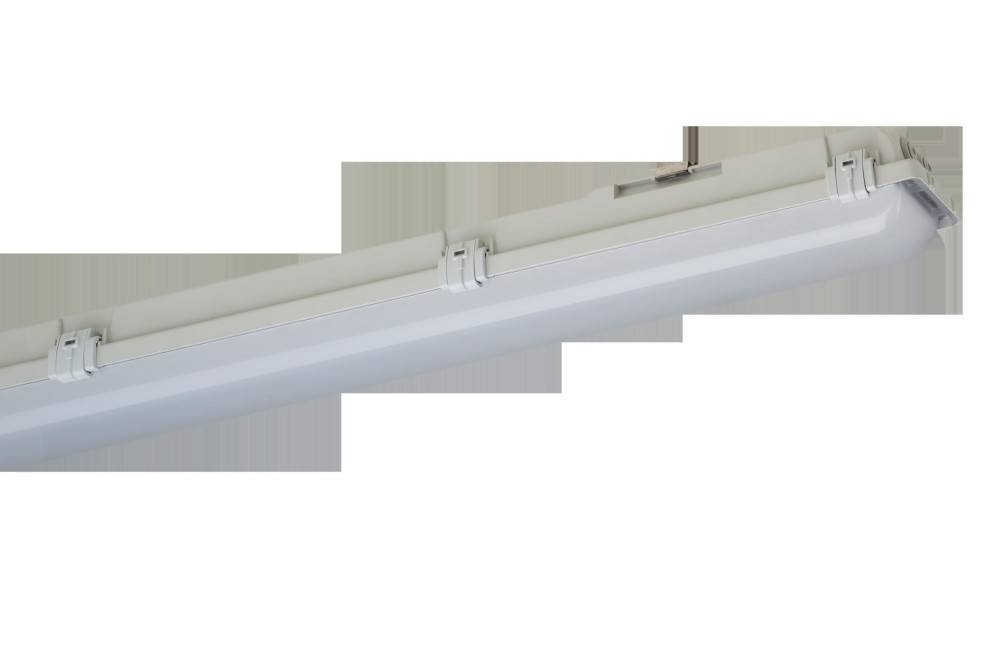 Schuch Licht LED-Notleuchte 161PX 12L60 ZB