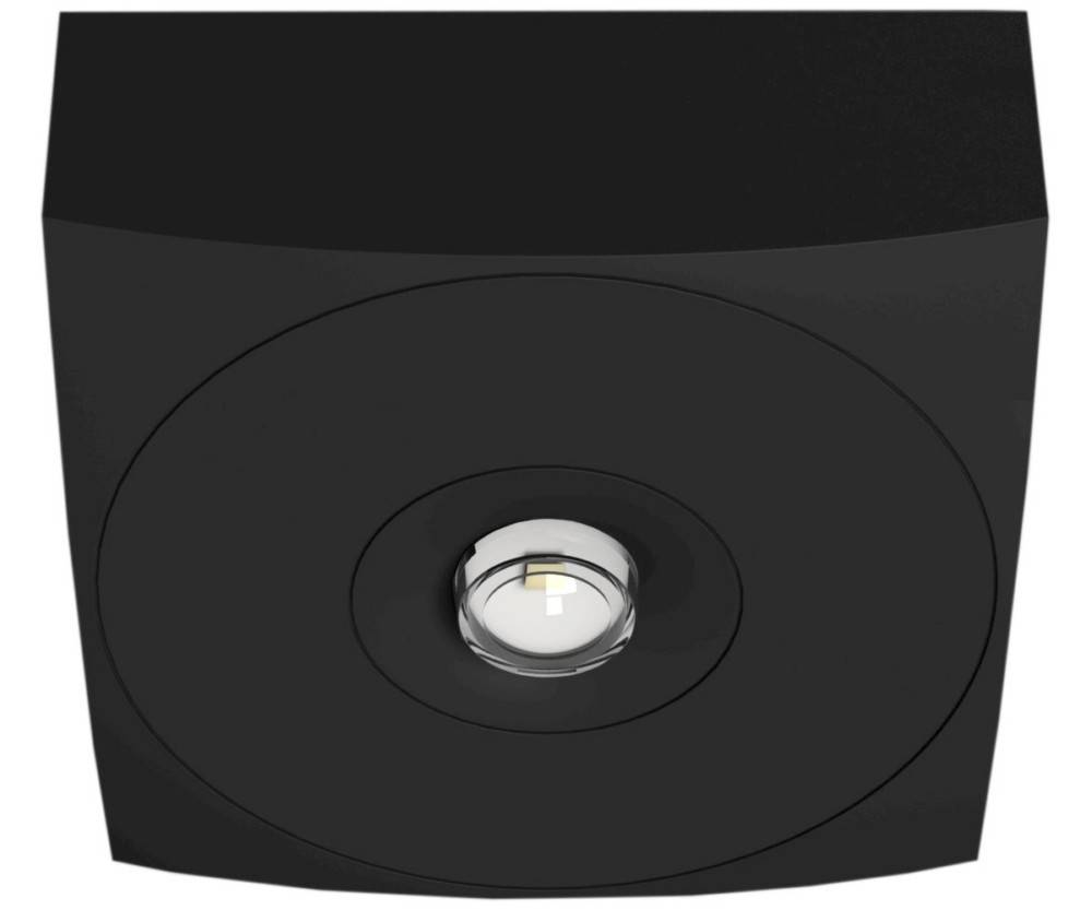 Eine schwarze Deckenleuchte mit einer zentral eingelassenen Glühbirne, installiert in einer dunklen Decke, die eine gezielte Beleuchtung bietet.