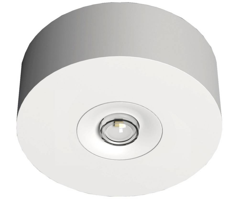RP-Technik LED-Sicherheitsleuchte EARL421WL