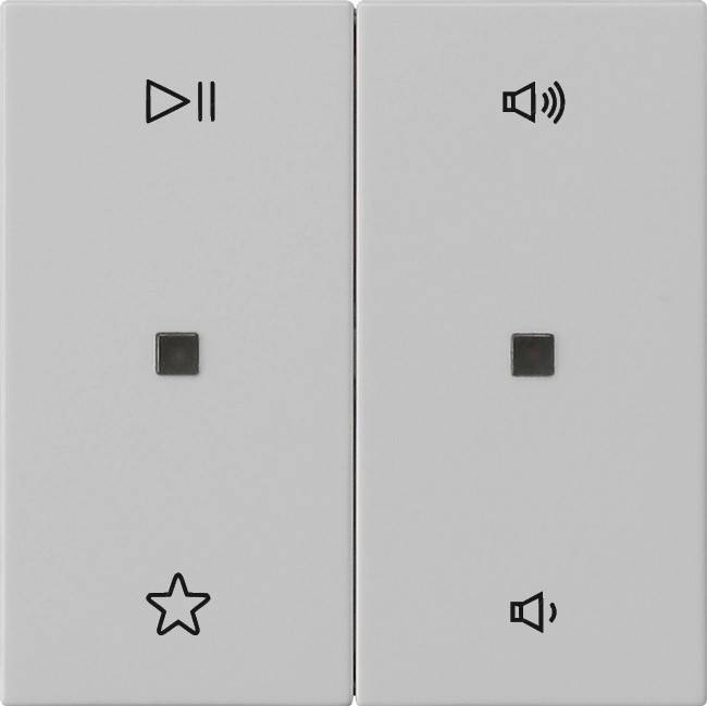 Gira Wippe 2f Audiostrg 5384015