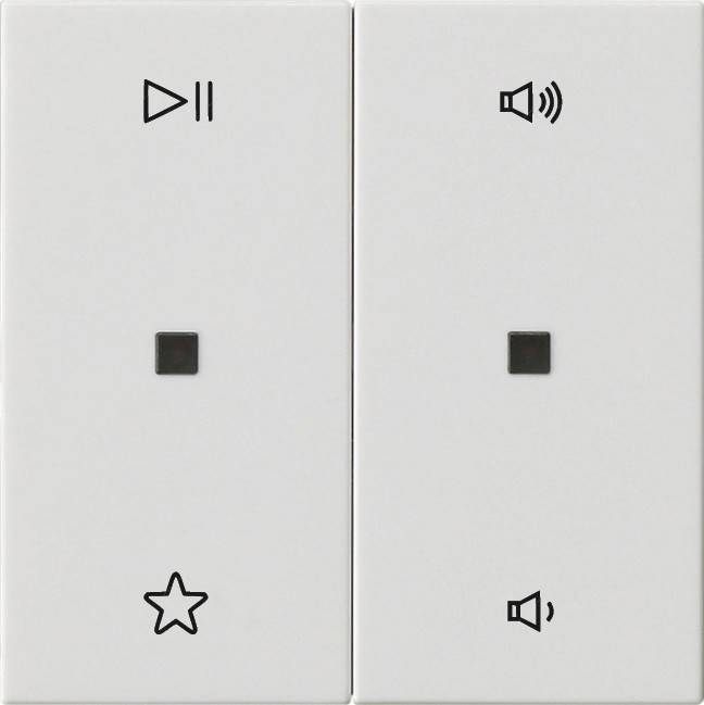 Gira Wippe 2f Audiostrg 538403