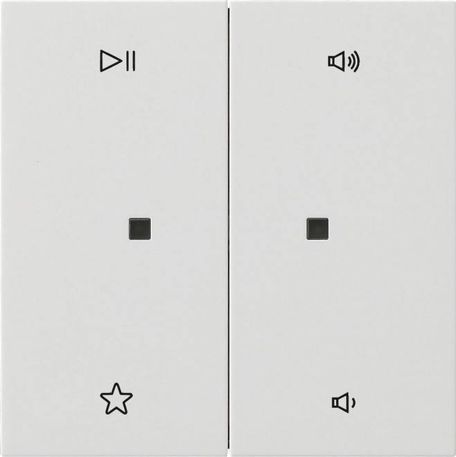 Gira Wippe 2f Audiostrg 5384112