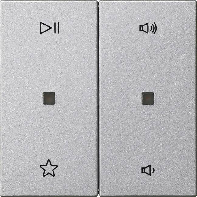 Gira Wippe 2f Audiostrg 538426