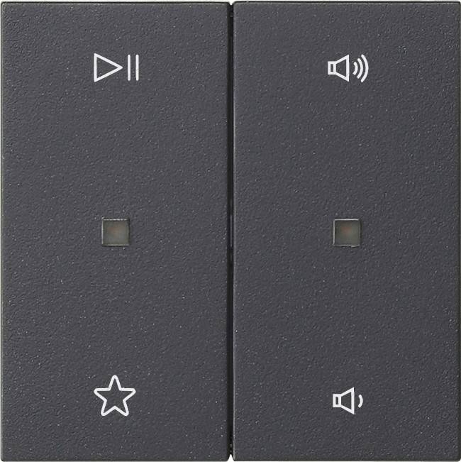 Gira Wippe 2f Audiostrg 538428