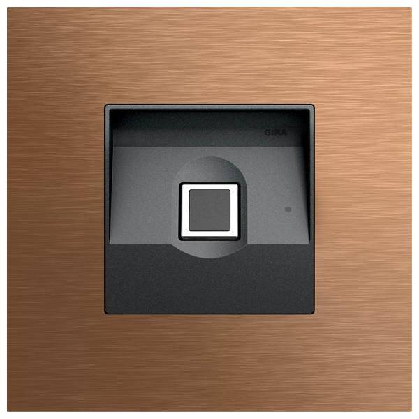Gira Keyless In 5551921
