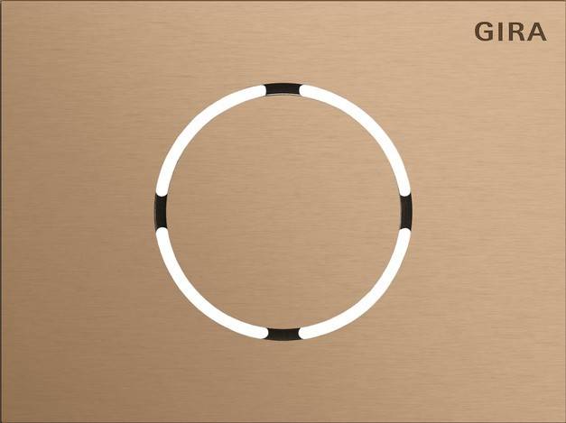 Gira Frontpl. Türstationsmodul 5579921