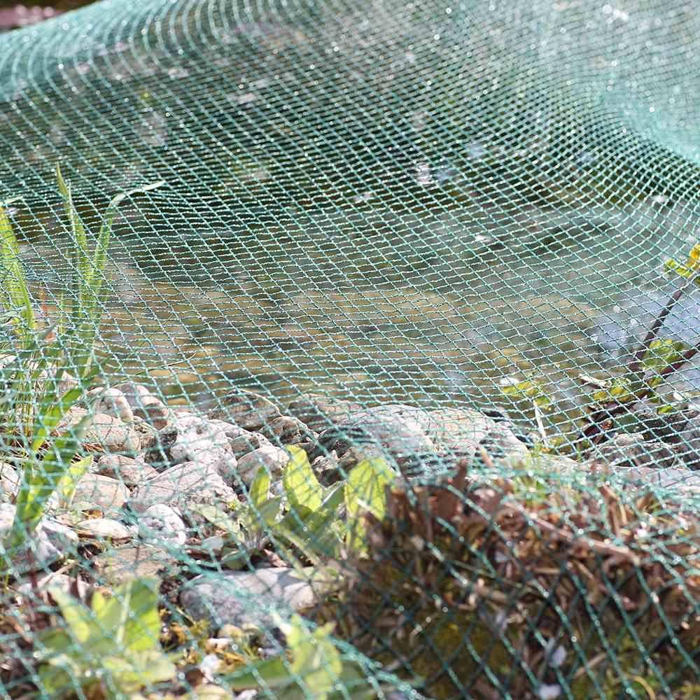 SIENA GARDEN Teichabdecknetz 6 x 3 m Maschenweite 20 x 20 mm, Bndchen