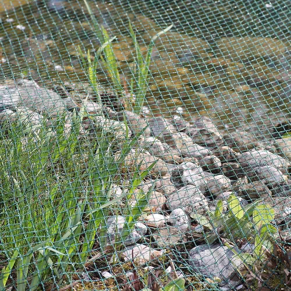 SIENA GARDEN Teichabdecknetz 6 x 3 m Maschenweite 20 x 20 mm, Bndchen