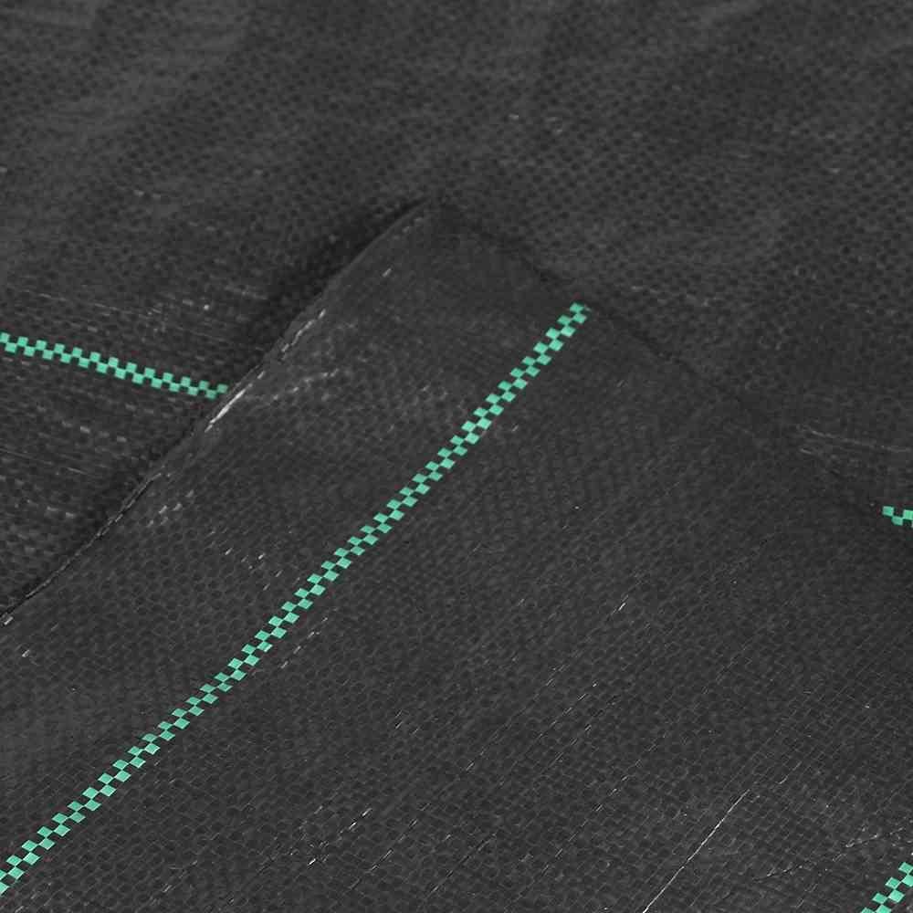 SIENA GARDEN Unterbodengewebe 2 x 25 m 100g, schwarz