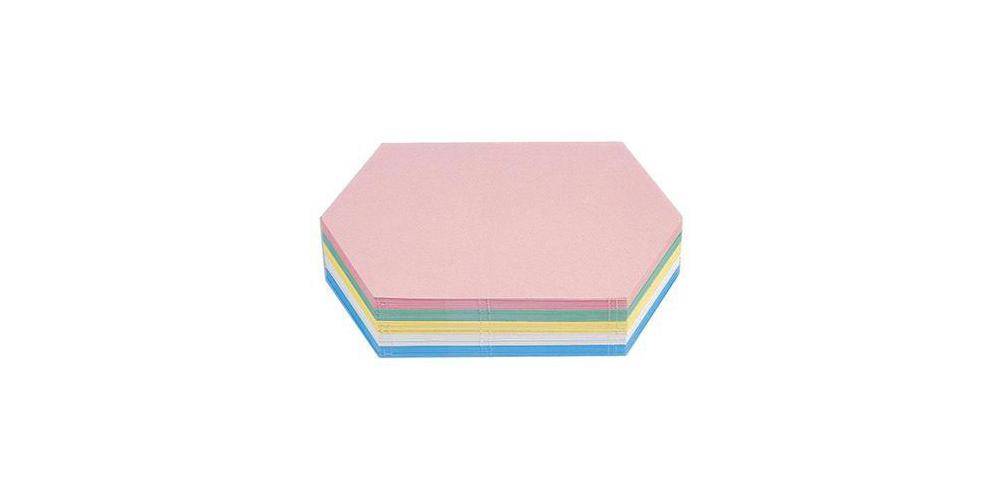 magnetoplan Moderationskarte 29,7 x 16,5 cm (B x H) 120g/m 100 %