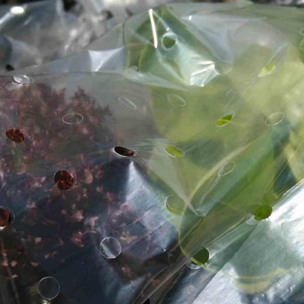 SIENA GARDEN Frühbeetfolie 1,5 x 10 m, SB-verpackt 20 g/ QM, Loch-Ø: