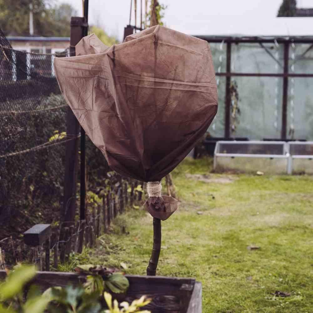 SIENA GARDEN Wintervlies 30g, Maße: 1,5x5m Farbe: beige