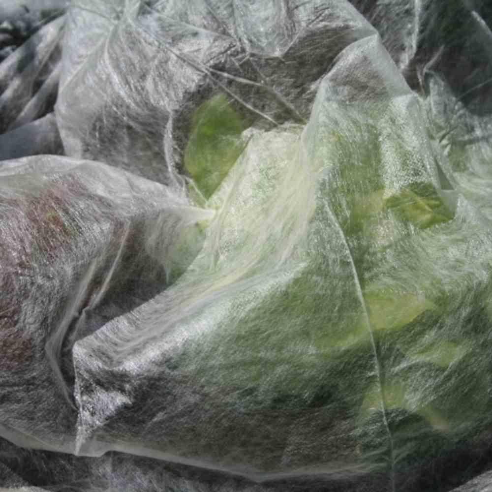 SIENA GARDEN Frühbeet-Vlies 1,5 x 10 m SB-verpackt, weiß