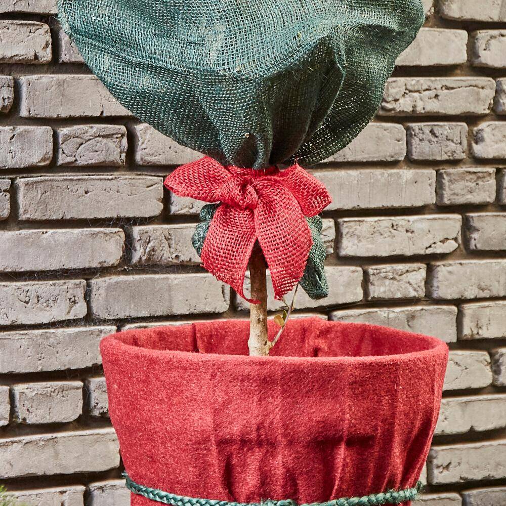 SIENA GARDEN Jute-Wickelband, Farbe: rot, Maße: 300x6cm 300 x 6 cm