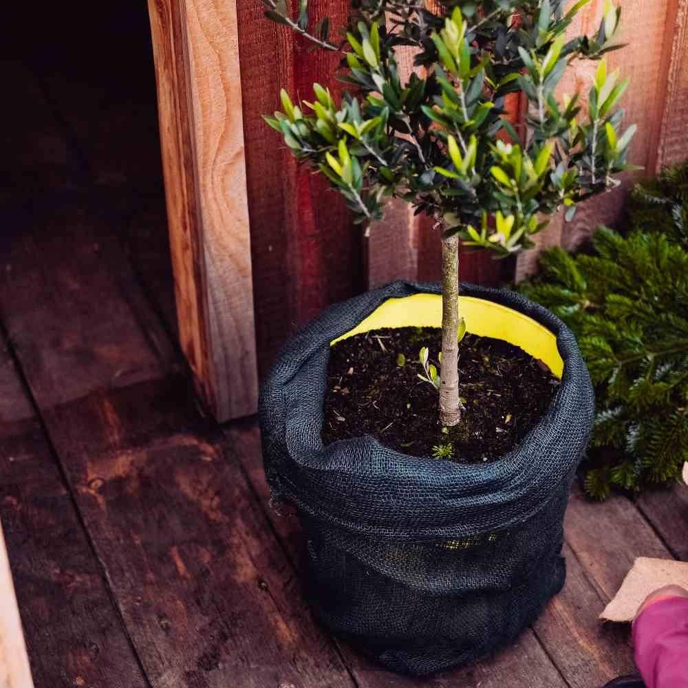 SIENA GARDEN Jute-Schutzsack, Farbe: grün, Maße: 60x80cm 80cm