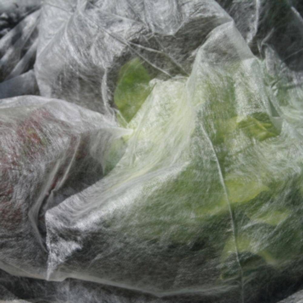 SIENA GARDEN Support.Green Wachstumsvlies 10x1,6m, 20g, weiß