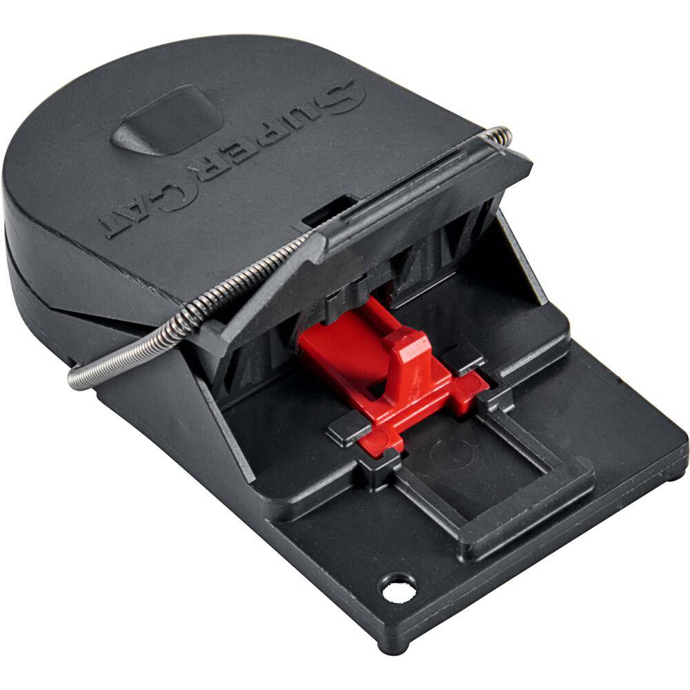 SWISSINNO Mausefallen SuperCat PRO 40 x 2 Karton