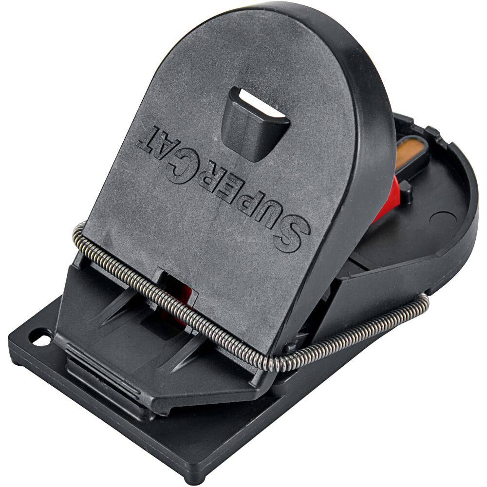 SWISSINNO Mausefallen SuperCat PRO 40 x 2 Karton