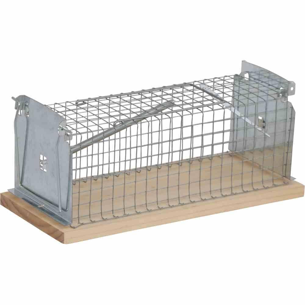 SIENA GARDEN Drahtkastenfalle 15x6x6cm mit 1 Einlauf