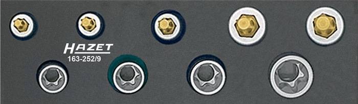 Werkzeugmodul 163-252/9 9-tlg.Steckschlüsseleinsätze TORX® E8–E14/T25–T50 HAZET