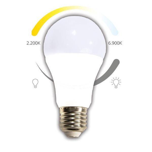 RP-Technik CasambiLampe E27 YMOCA-BULB-E27