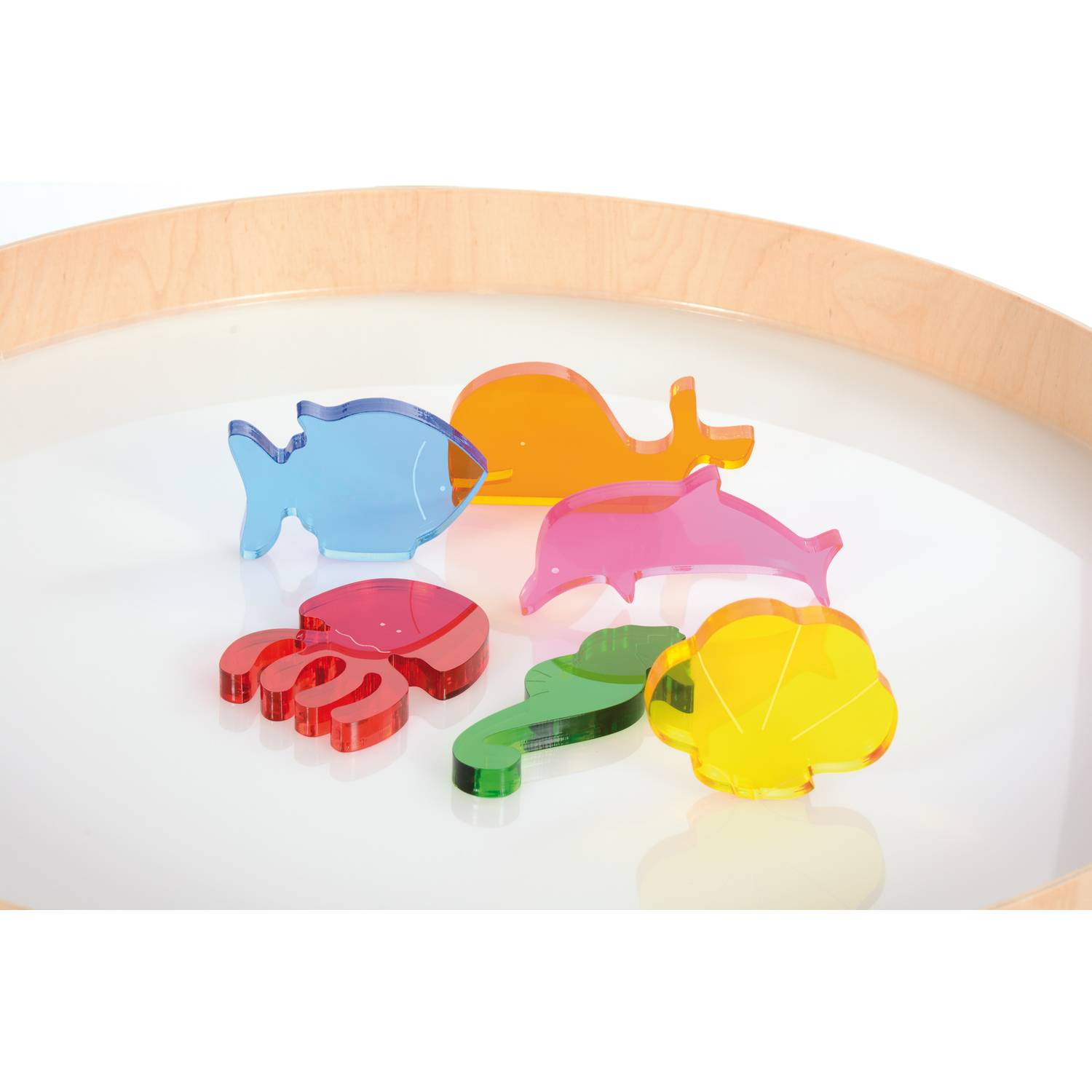 EDUPLAY 120773 Acryl Meerestiere 6er Set