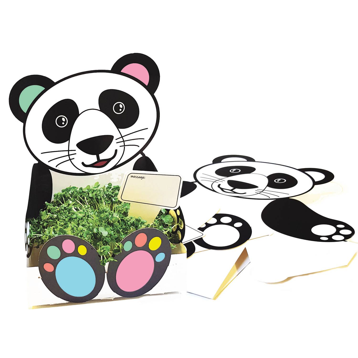 EDUPLAY 370108 Pflanzschale Panda
