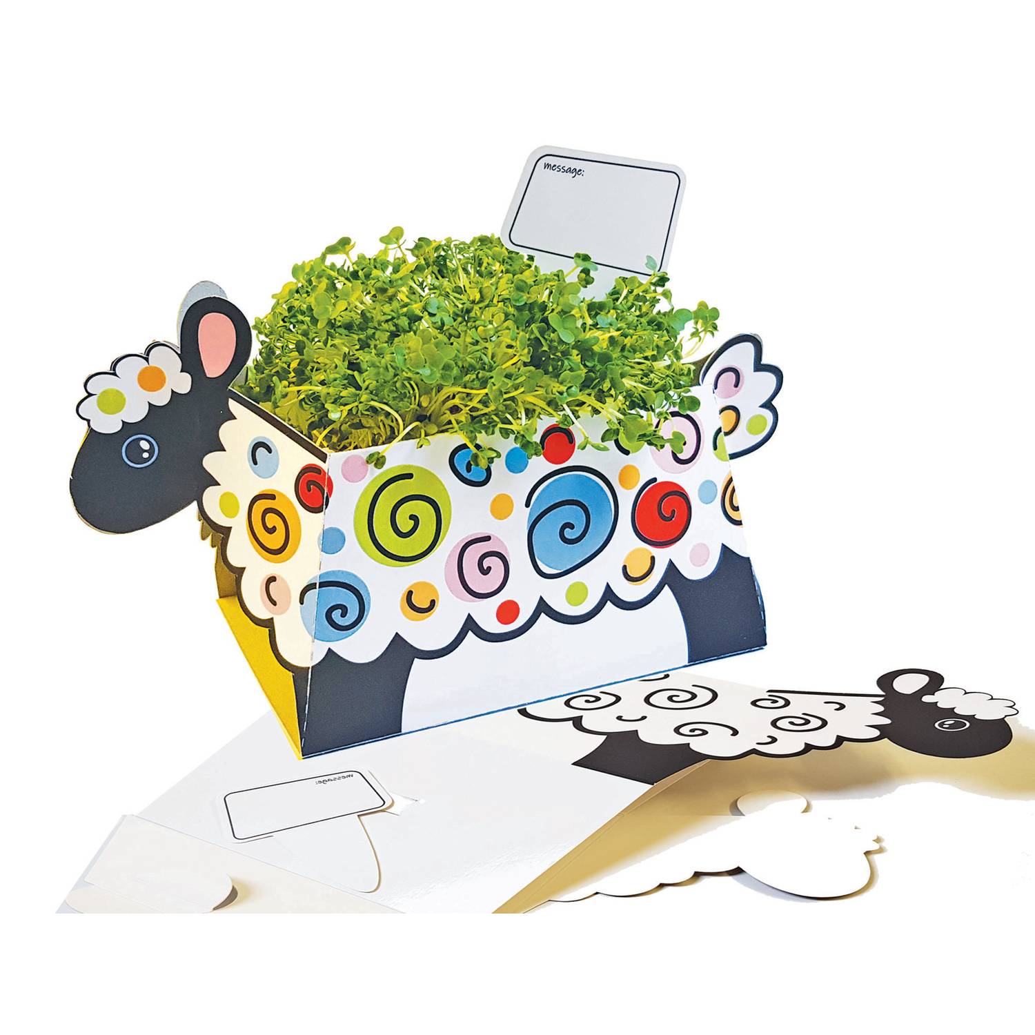 EDUPLAY 370109 Pflanzschale Schaf