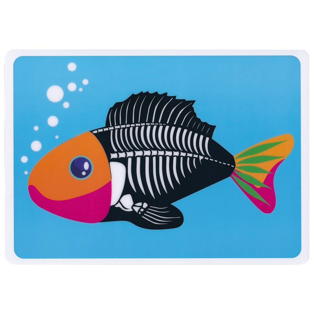 EDUPLAY 370177 Tierskelett Bilder 6er Set