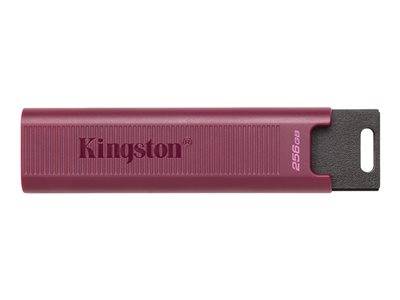 KINGSTON 256GB USB3.2 TypeA DataTraveler Eingabe / Ausgabe USB-Stick