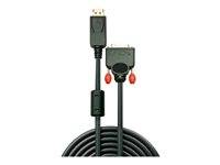 LINDY Kabel DisplayPort an DVI Gerät, 5m Audio, Video, Display & TV &