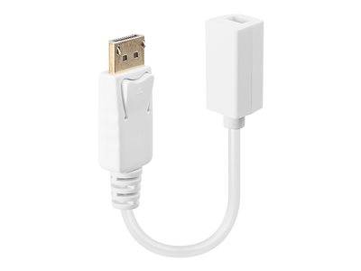 LINDY DisplayPort: DP(M) Mini-DP(F) Audio, Video, Display & TV Optionen & Zubehör Videoadapter &