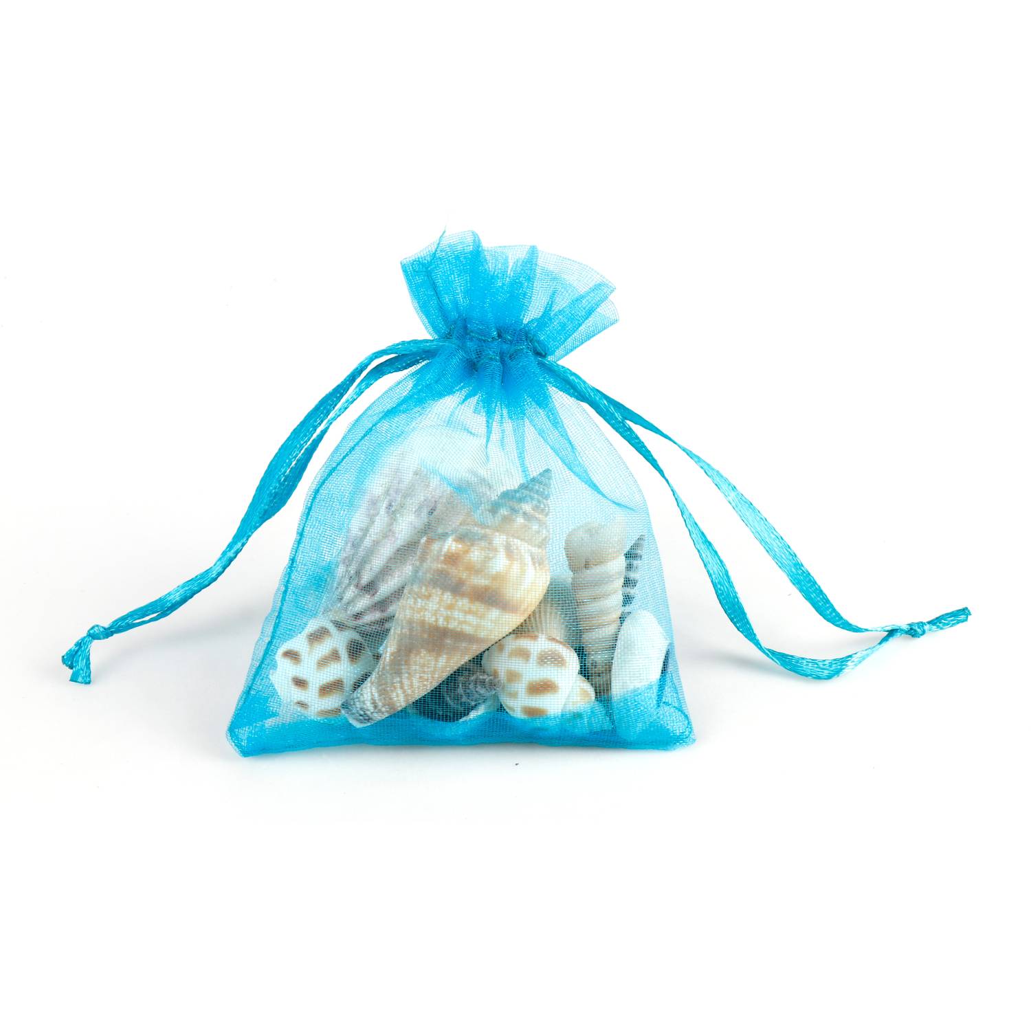 EDUPLAY 130306 Muscheln im Organzabeutel (Mitgebsel), natur