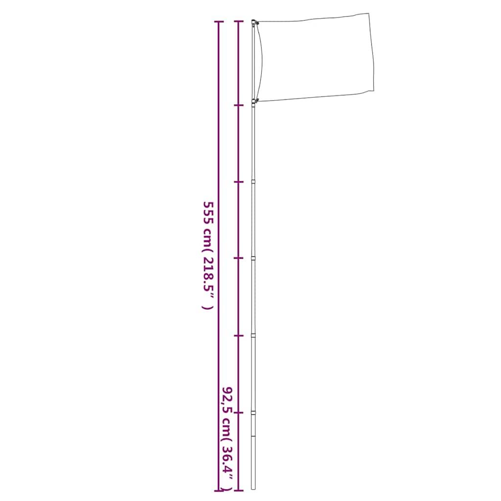 vidaXL Teleskop-Fahnenmast Silbern 5,55 m Aluminium