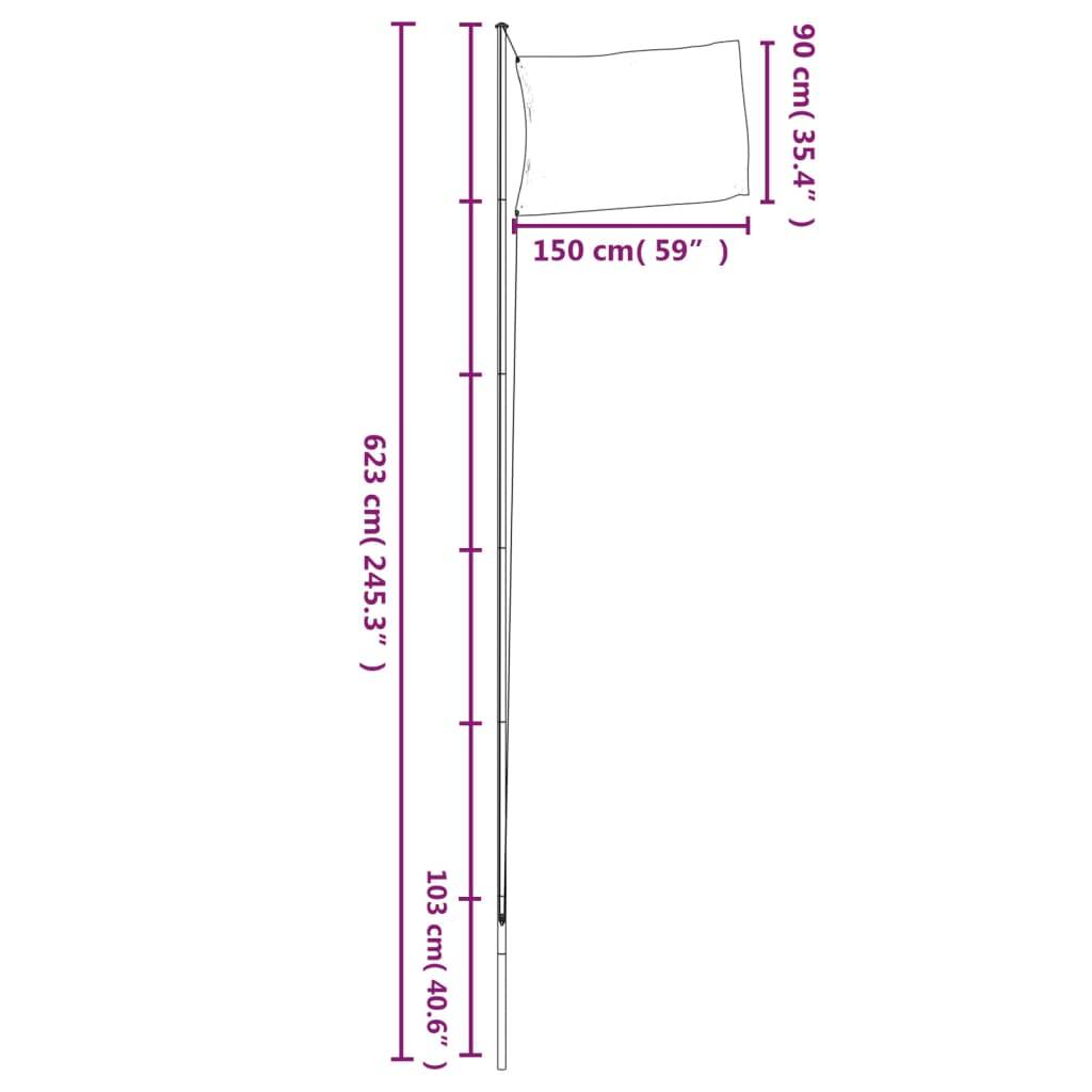 vidaXL Tschechische Flagge mit Mast 6,23 m Aluminium