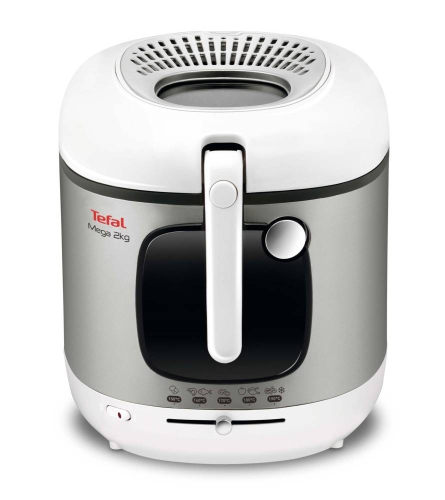 Tefal Fritteuse FR4800 ws