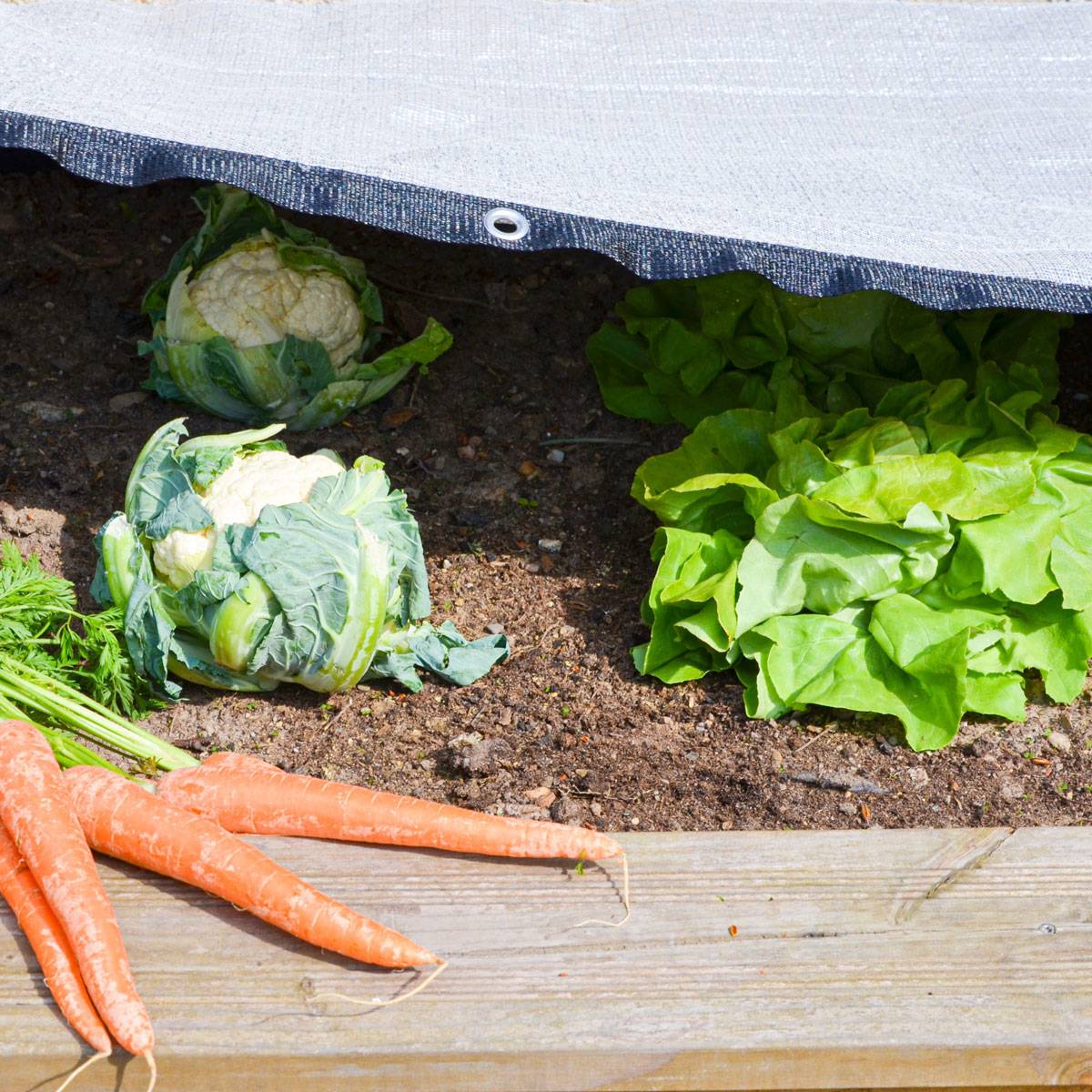 99% Schattennetz 3x4m Alu Sonnensegel Sonnenschutz Netz Hitzeschutz für Auto