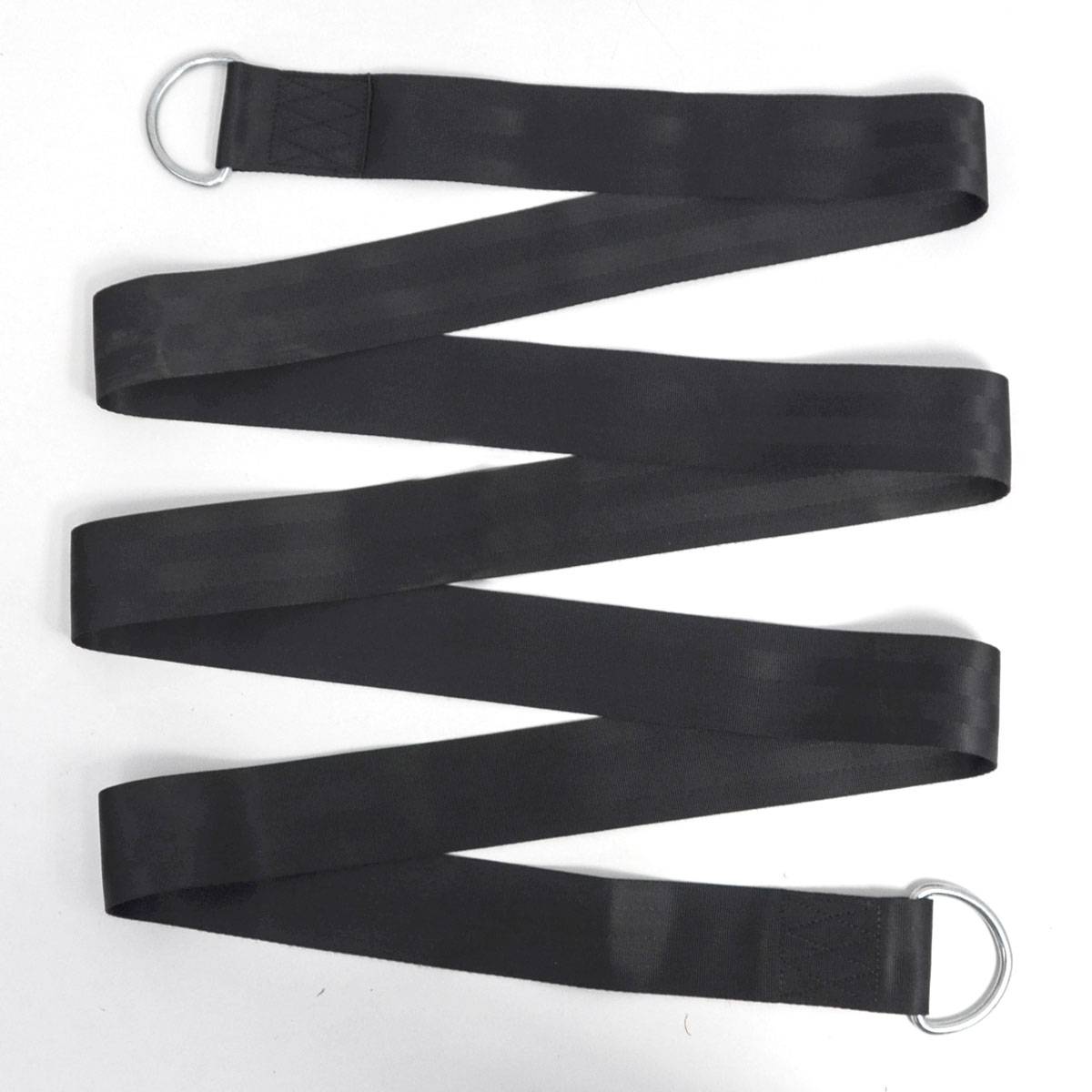 300kg Schaukel Befestigung 2 Gurte 300x5 cm Baum Aufhängung mit Karabiner Haken