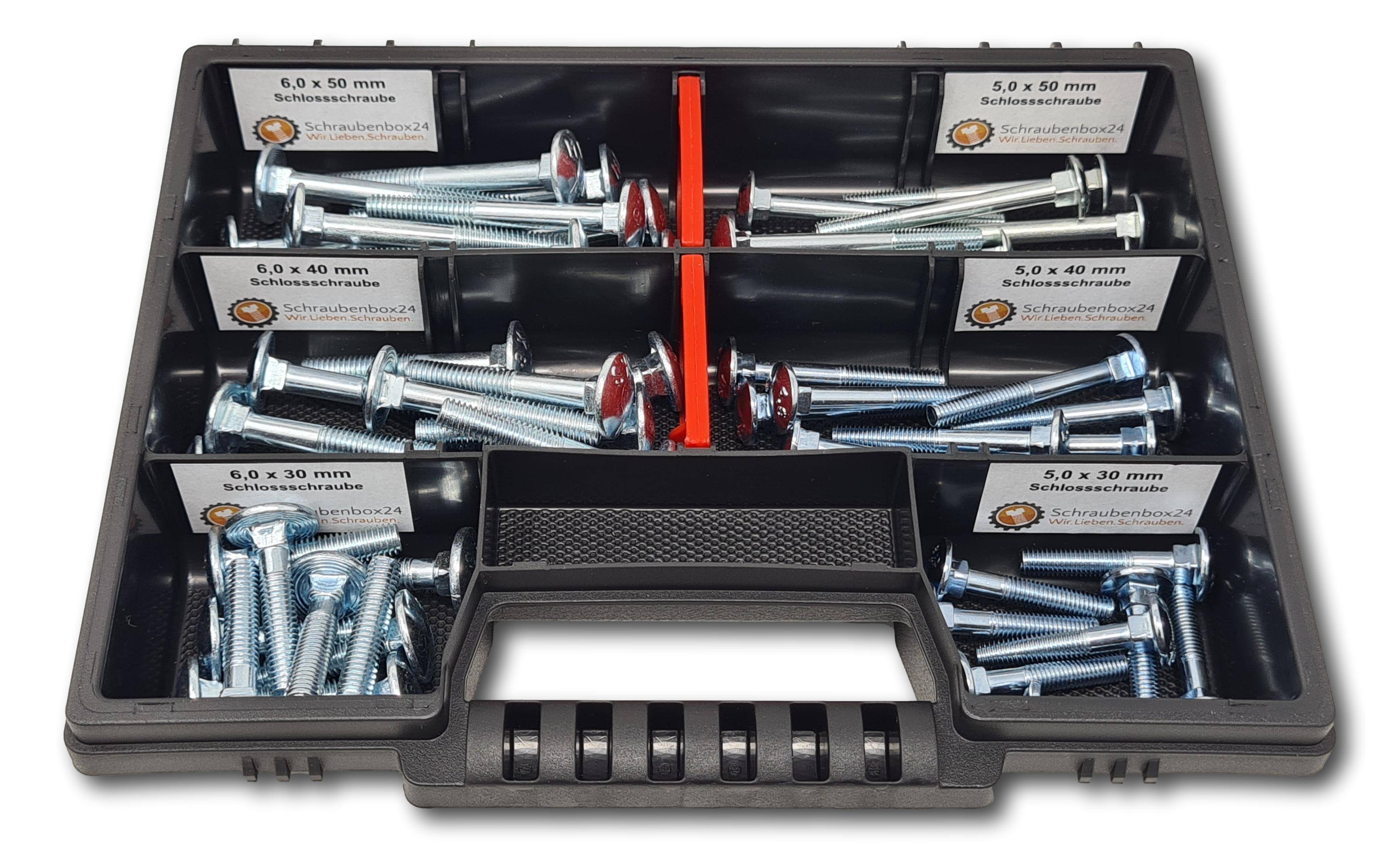 Flachkopfschrauben Sortiment M5-M6 // 30mm-50mm 60 tlg. Schraubenbox