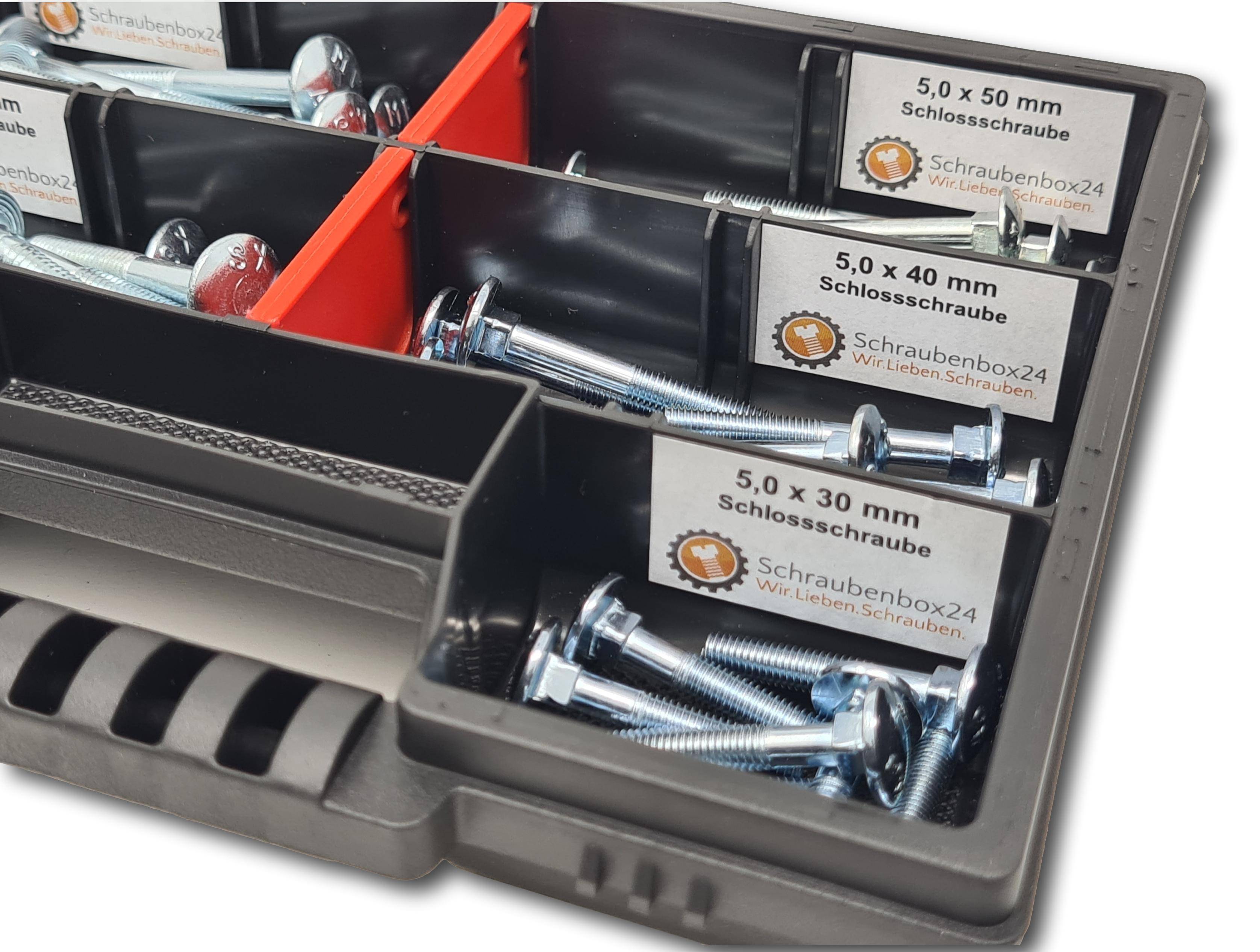 Flachkopfschrauben Sortiment M5-M6 // 30mm-50mm 60 tlg. Schraubenbox