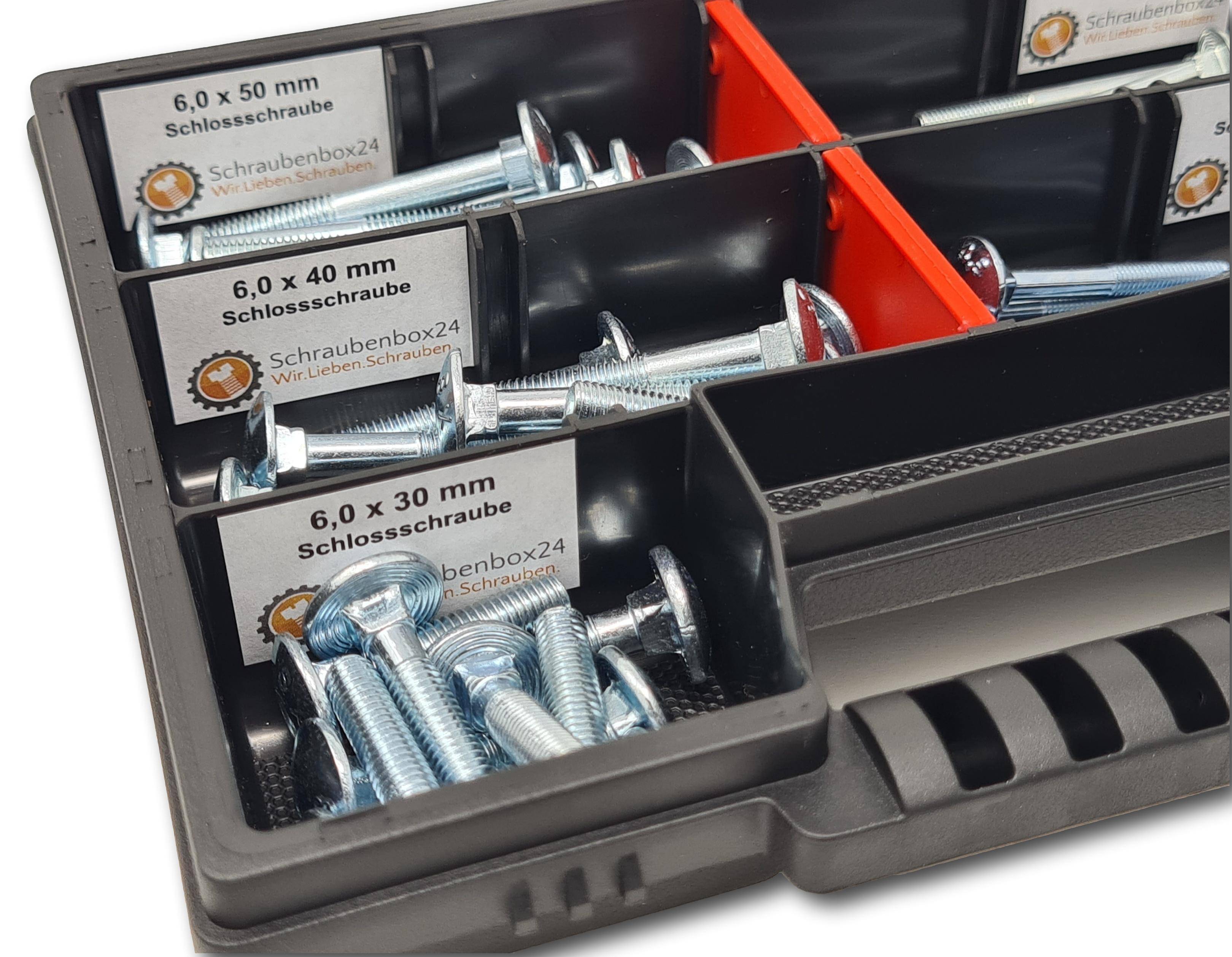 Flachkopfschrauben Sortiment M5-M6 // 30mm-50mm 60 tlg. Schraubenbox