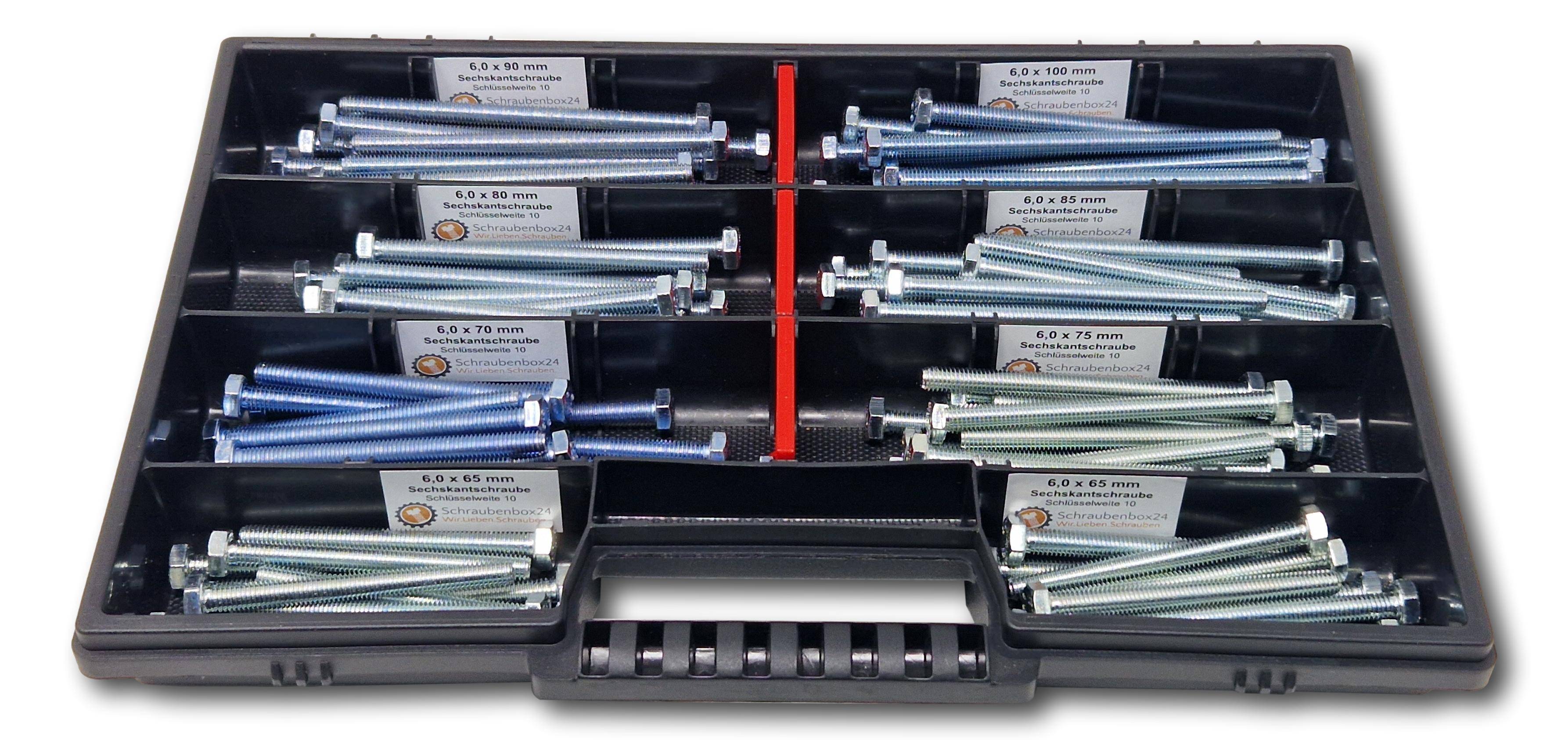 Sechskantschrauben Sortiment M6 // 65mm-100mm 110 tlg Schraubenbox DIN 933/ISO4017