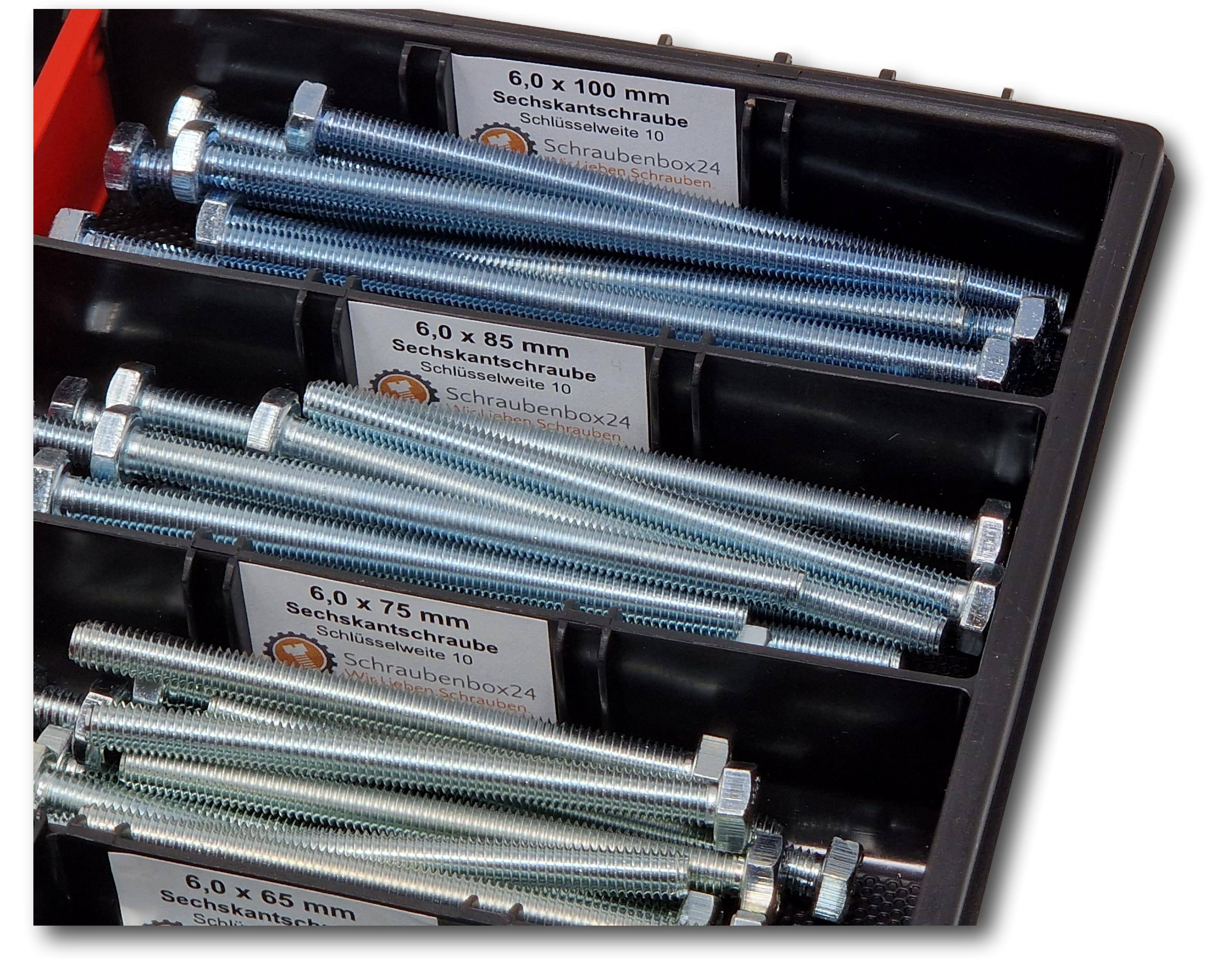 Sechskantschrauben Sortiment M6 // 65mm-100mm 110 tlg Schraubenbox DIN 933/ISO4017