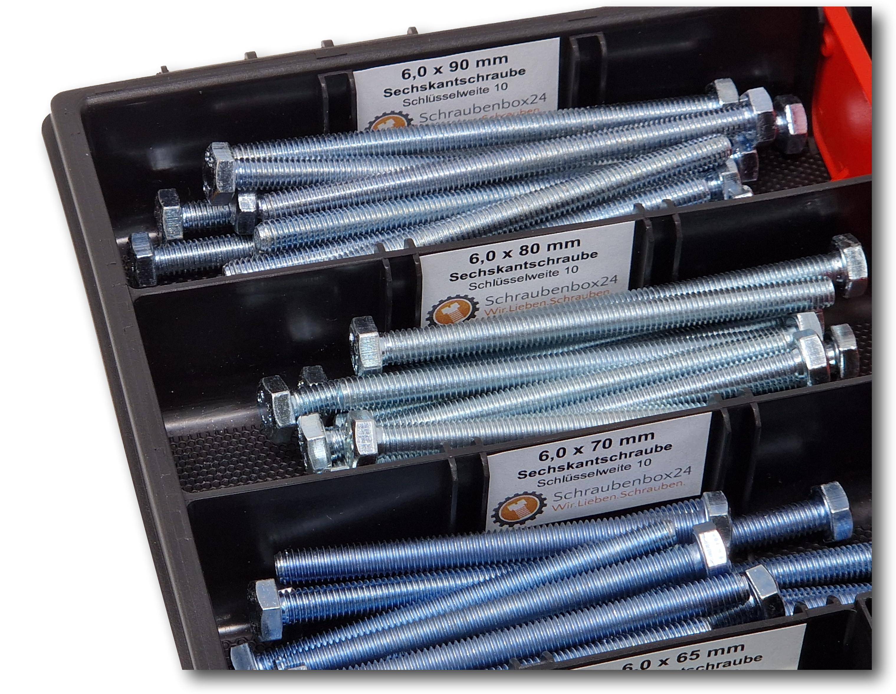Sechskantschrauben Sortiment M6 // 65mm-100mm 110 tlg Schraubenbox DIN 933/ISO4017
