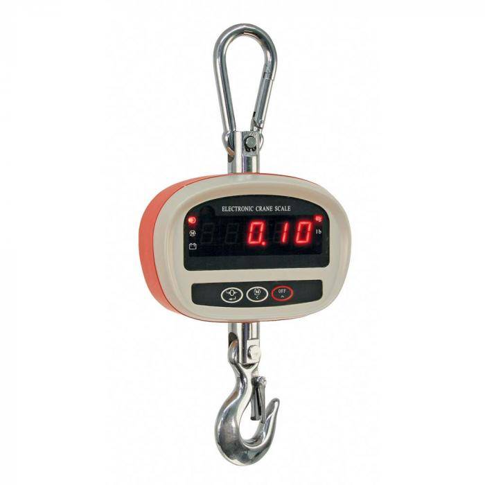 Digitale Hängewaage bis 300 kg Kranwaage (DigiScale 300)