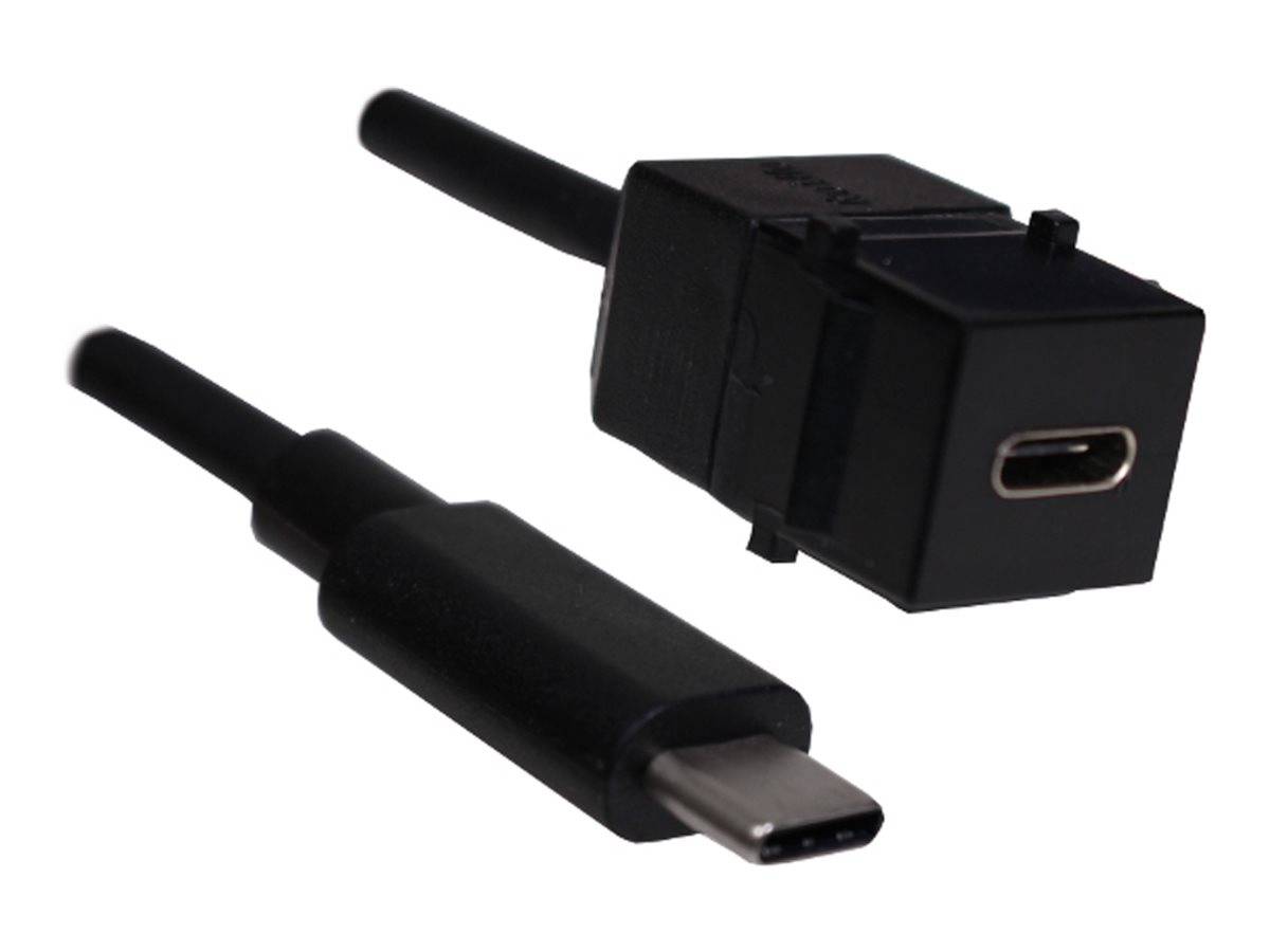 Bachmann - USB-Verlängerungskabel - 24 pin USB-C (M)