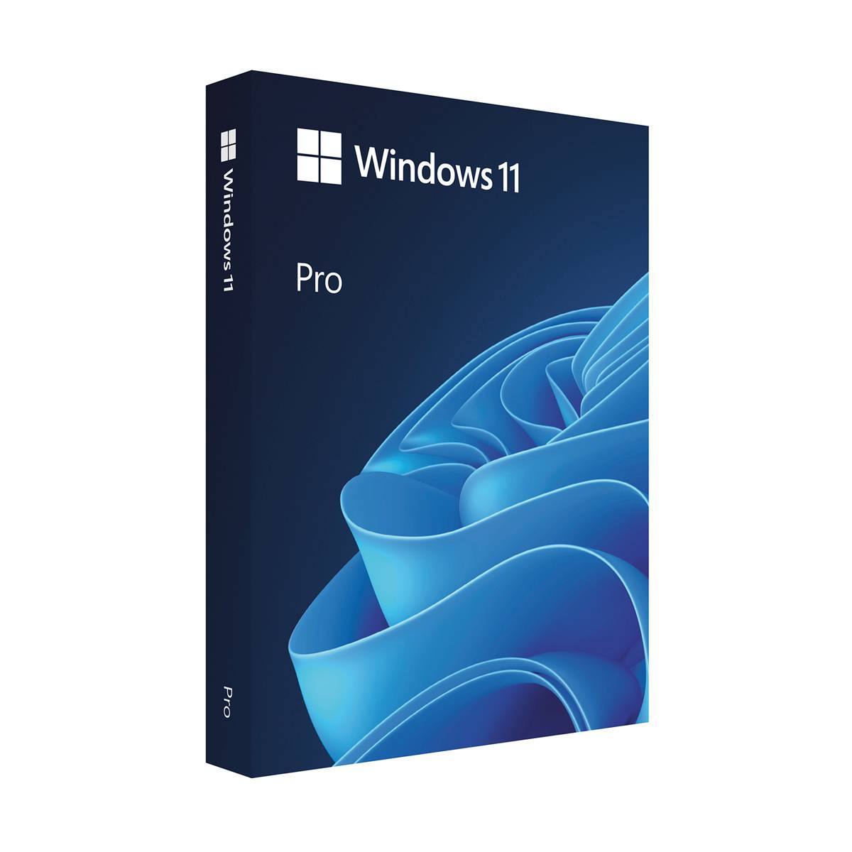 Windows 11 Pro Herunterladen