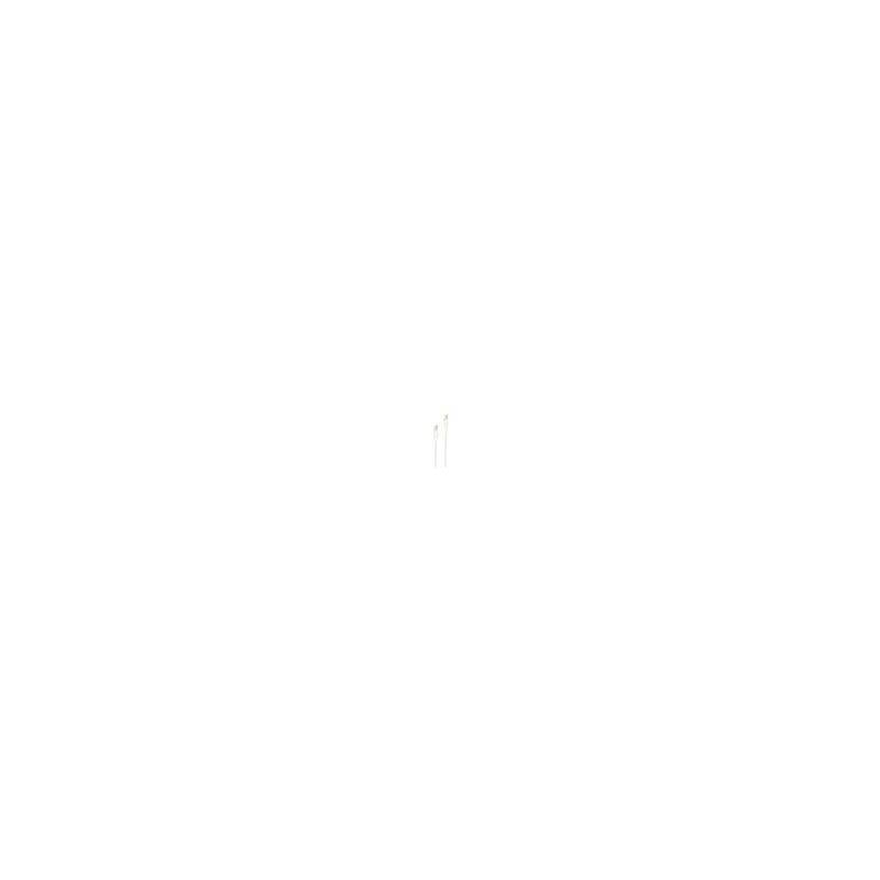 shiverpeaks BASIC-S Daten- & Ladekabel, USB-C Stecker, 1,0 m