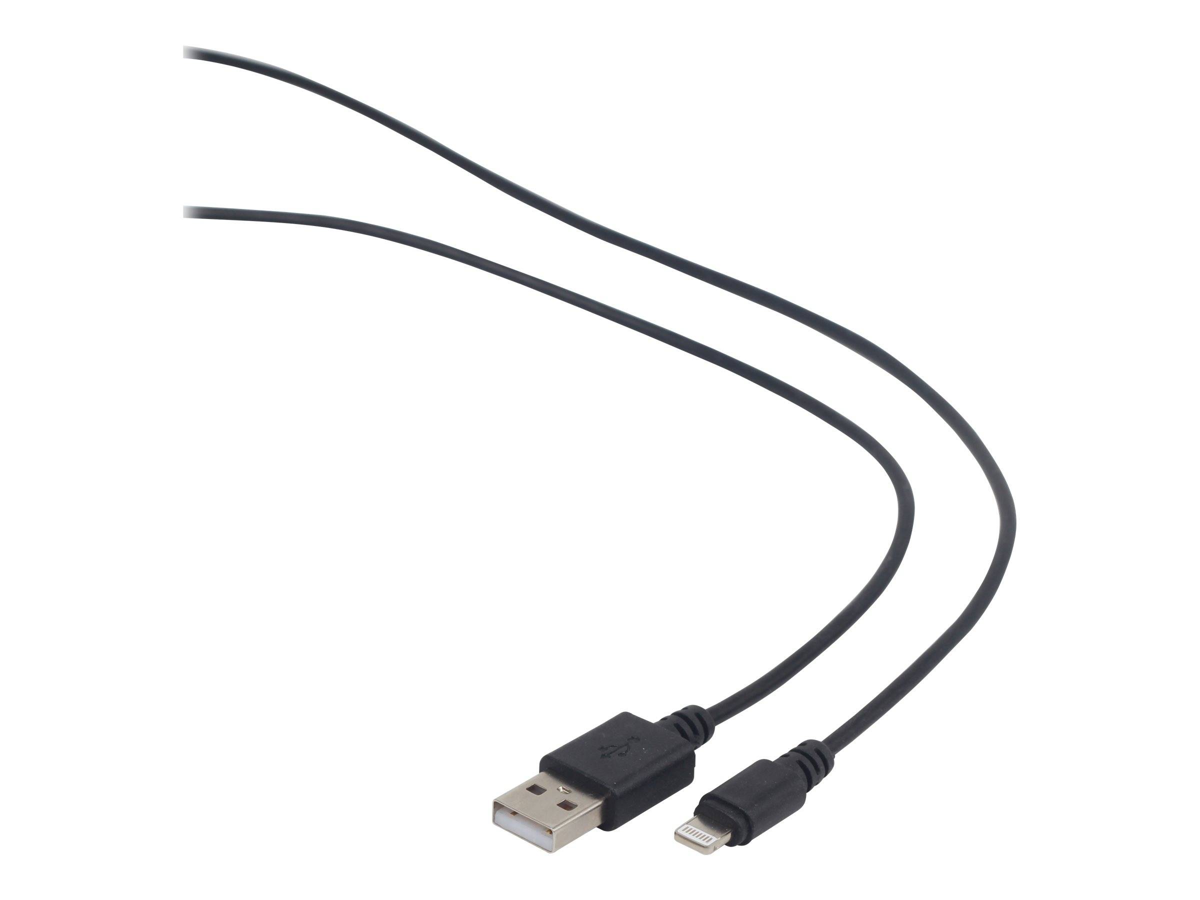 „Ein schwarzes USB-auf-Lightning-Kabel mit Steckern an beiden Enden.